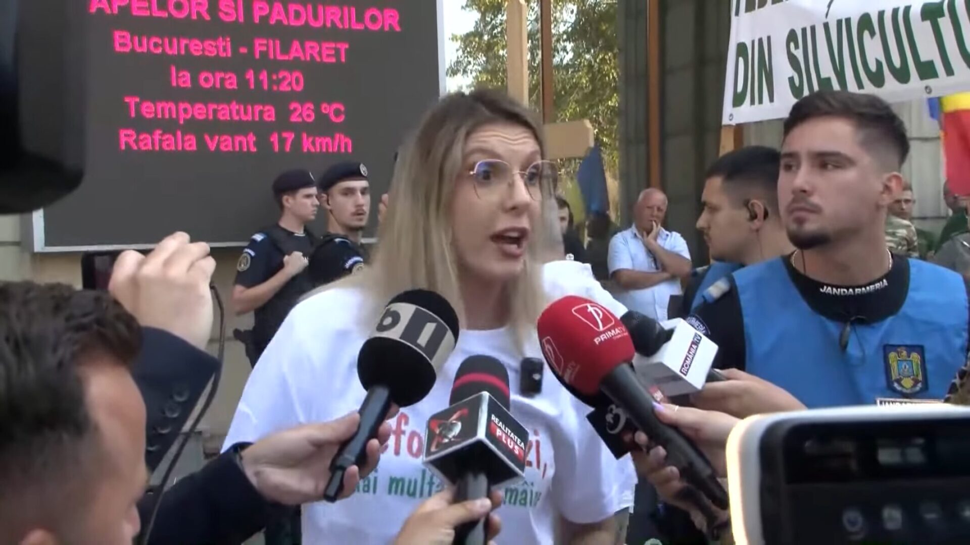 Contre între Min.Mediului și silvicultori. Buzoianu: Romsilva nu este vacă de muls pentru nimeni.